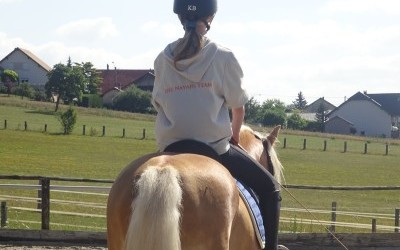 EVERY WINZ, HAFLINGER, 11 ANS.